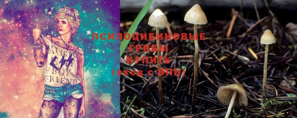 мескалин Алексин