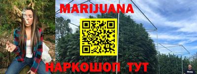 Альфа ПВП Можга