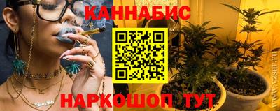 Альфа ПВП Можга