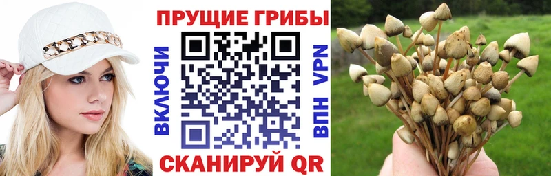 Псилоцибиновые грибы ЛСД  продажа наркотиков  Беслан 